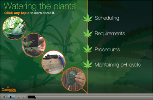 Introduction to Cannabis Growing Course